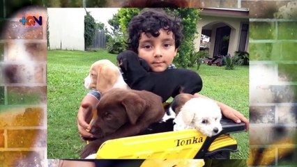 mqn-Tras-quedarse-desempleado-ideo-la-opción-para-que-usted-tenga-el-cachorro-que-siempre-ha-buscado-300620