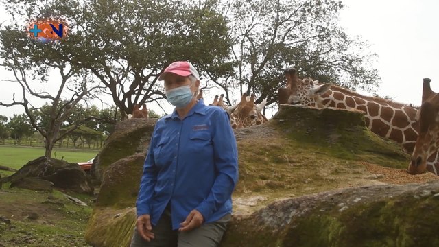 mqn-De-Ucrania-a-Costa-Rica-para-convertirse-en-protectora-de-animales-exóticos-300620