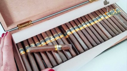 Xì gà Cuba mini Cohiba Short Humidor box 50 limited giá rẻ nhất thích hợp hhút hàng ngày