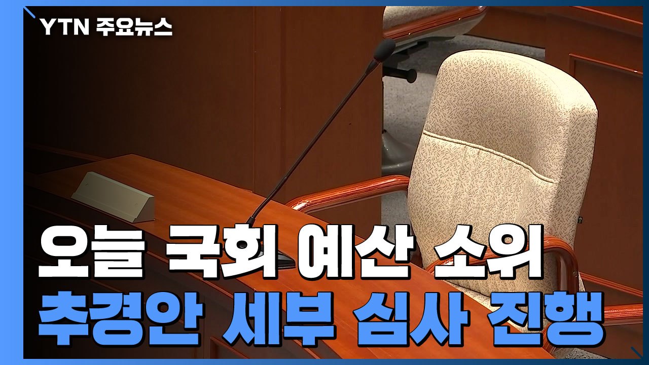 38조 원으로 늘어난 추경안 세부 심사...통합당, 권한쟁의 심판 청구 / YTN