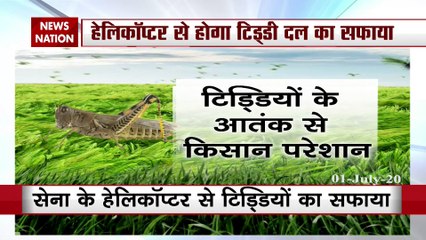 राजस्थान के नागौर में फिर से टिड्डियों ने बोला हमला, किया गया ड्रोन से छिड़काव