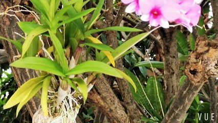 Merlion Park in Singapore- Nearby of Marina Bay Sand- Beautiful Singapore part 4