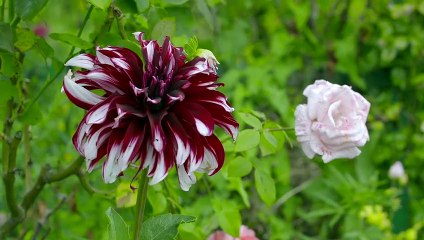 [PROMO] Giverny Prisma VI - 01/07/2020