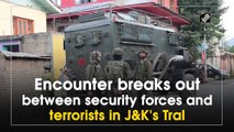 Encounter breaks out between security forces and terrorists in J&K's Tral