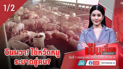 เป็นเรื่องเป็นข่าว | นักวิจัยจีนพบ “ไข้หวัดหมูสายพันธุ์ใหม่” (1/2)