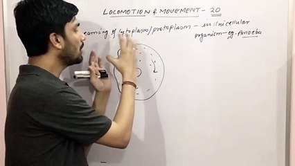 Locomotion & Movement Chapter:Part-7 introduction CBSE/NEET/11th
