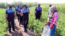 Polis tarım işçilerine maske dağıttı - ADANA