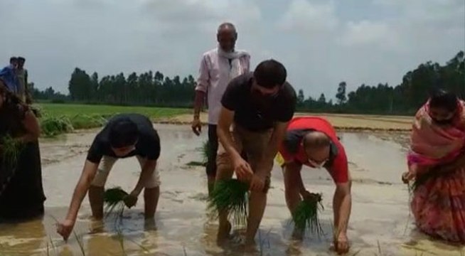 बाराबंकी: पानी से भरे खेत में उतरे डीएम और एसपी, खुद धान की रोपाई कर बढ़ाया महिलाओं का उत्साह