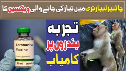 Coronavirus Vaccine - Experiment Successful on Monkeys