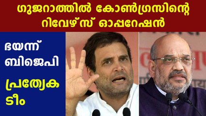 Gujarat byelection: Congress and BJP started their works | Oneindia Malayalam