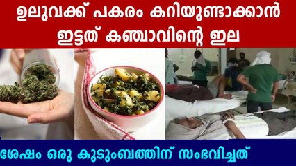 UP Family Hospitalized After Eating Dish Made With Cannabis Leaves | Oneindia Malayalam