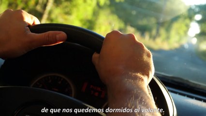 3/4 - Una temporada sin preocupaciones en la cosecha del melón / Une saison sans soucis, la cueillette de melon