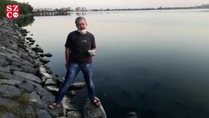 Balık ölümlerini göle maya çalarak protesto etti!