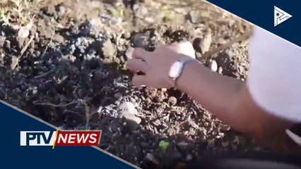 National Greening Program sa Caraga, pinaigting pa