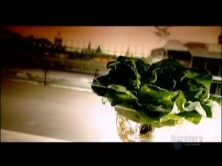 How Its Made - 069 Hydroponic Lettuce