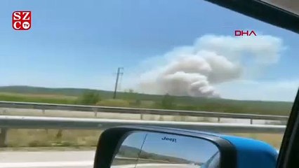 Son dakika! Urla’da orman yangını… Çevre illerden yardım istendi