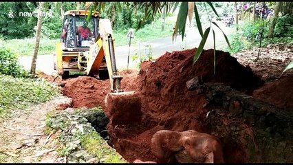 Baby elephant rescued after falling into 10 feet deep well in southern India