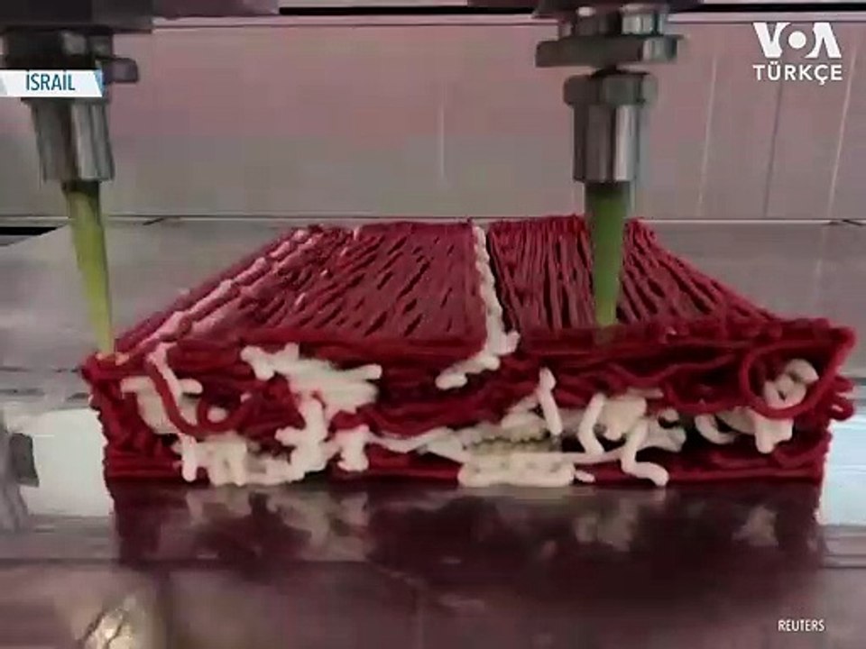Bitki bazlı 3 Boyutlu Yazıcıda Üretilmiş Biftek İsteyen?