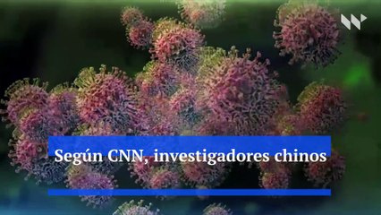 Nuevo virus con potencial pandémico descubierto en China