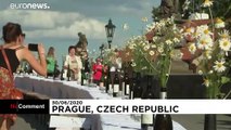 Tschechen feiern Lockdown-Ende mit Festmahl an 500-Meter-Tafel