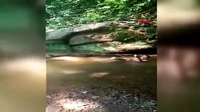 Yakaladığı yılanla konuşan vatandaş viral oldu: O balığı ben gördüm; hiç şansın yok