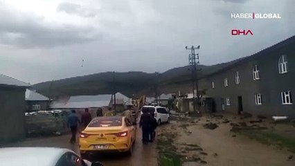 Patnos'u sağanak vurdu; dereler taştı, hayvanlar telef oldu