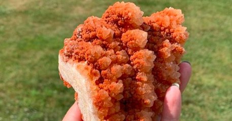 Elle découvre un cristal précieux qui ressemble à un... tender de poulet frit !