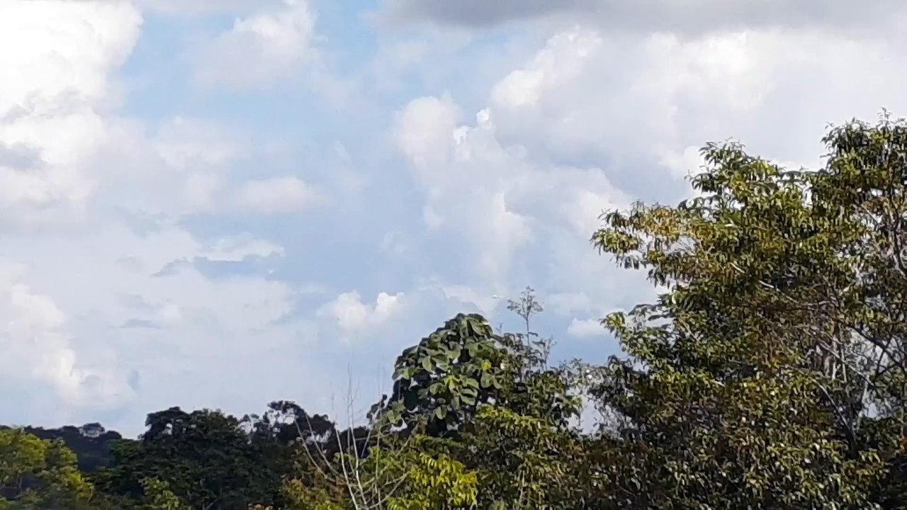 [SBEG Spotting]Airbus A350 PR-XTD na final antes de pousar em Manaus vindo de Guarulhos