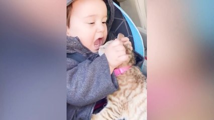 Baby and Cat Fun and Fails - Funny Baby Video