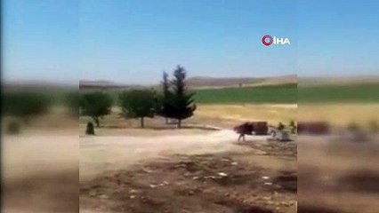 Şanlıurfa’da 2 kişinin öldüğü kavganın görüntüleri ortaya çıktı