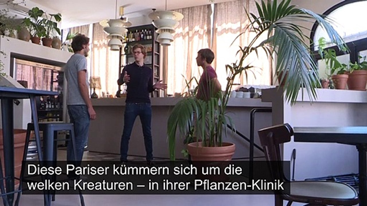 Eine Klinik für welke Büropflanzen