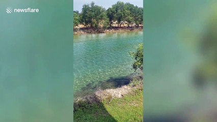 Malaysian river crystal clear due to COVID-19 lockdown