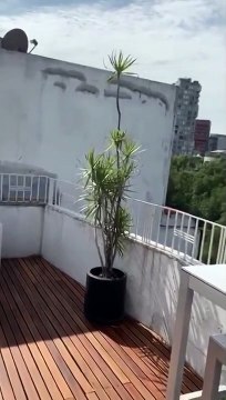 Ces immeubles dansent sous l'effet du tremblement de terre