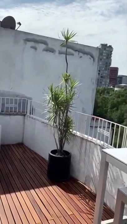 Ces immeubles dansent sous l'effet du tremblement de terre