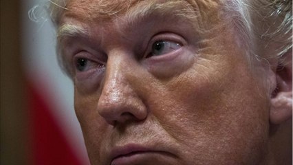 Tired Of Being Yelled At, Briefers Buried Russian Intel In Reports They Knew Trump Wouldn't Read