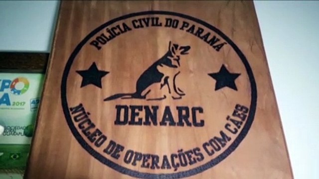 Denarc apreende maconha e cocaína em ação de investigação