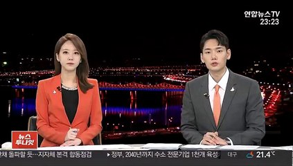 휘성에 전신마취제 판매…외국인 남성 징역 1년