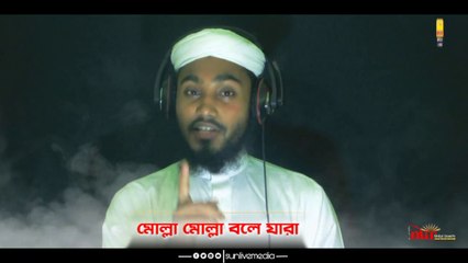 mollah মোল্লা কবিতাটি অসাধারণ