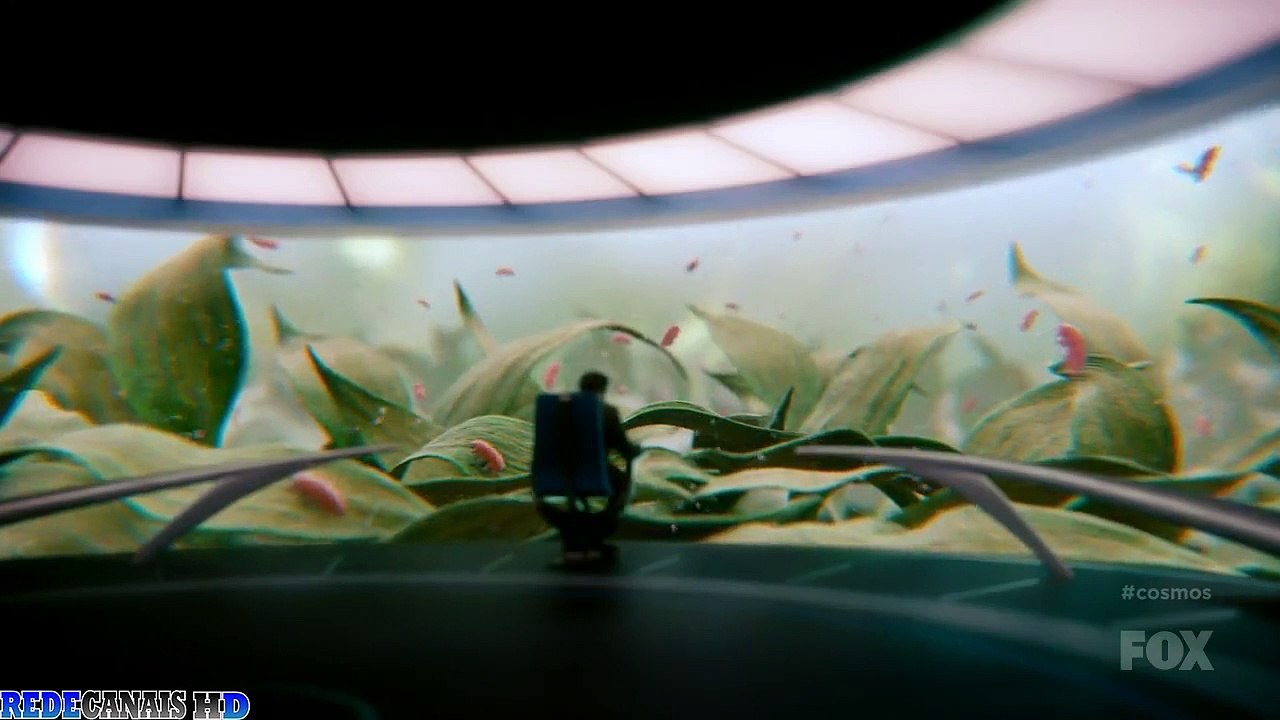 Cosmos: Uma Odisséia do Espaço-Tempo - Episódio 06 - Mais Fundo, Mais Fundo, Mais Fundo Ainda