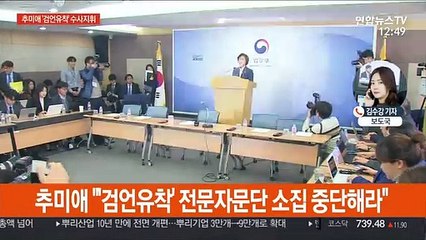 추미애 "'검언유착' 전문자문단 소집 중단" 지휘