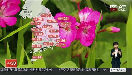 [날씨] 30도 안팎 낮더위…오후 내륙 소나기