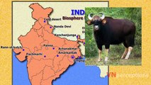 National parks, wildlife sanctuaries & Biosphere reserves of india