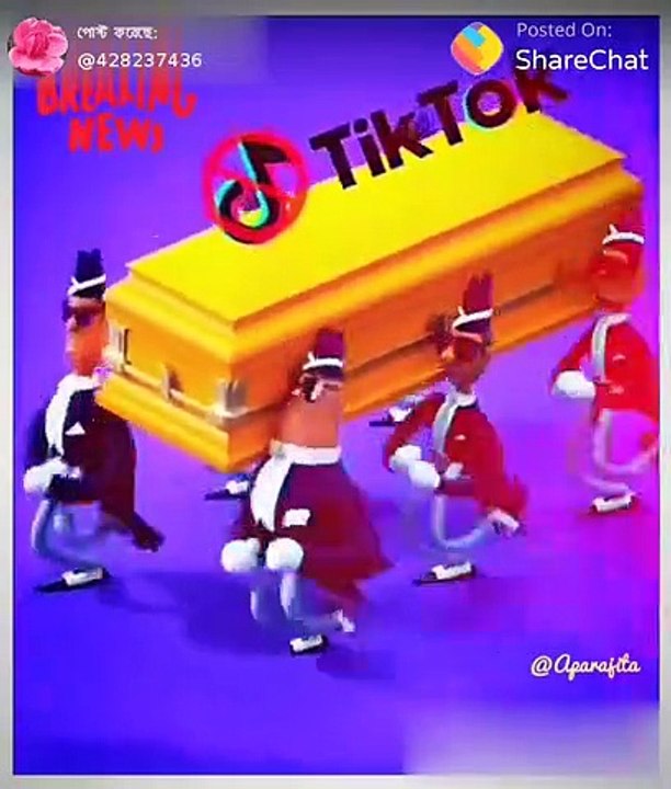 Tik tok ban.