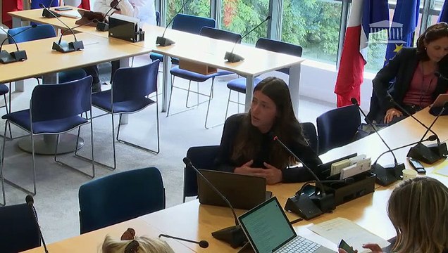 Commission des affaires européennes : M. Ambroise Fayolle, vice-président de la Banque européenne d'investissement (BEI) - Mercredi 1 juillet 2020