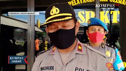 Seekor Buaya Liar Ditangkap Di Indramayu