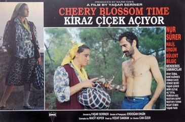 Kiraz Çiçek Açıyor (1990)