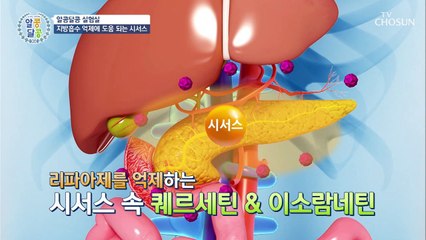 지방 미끄럼틀 ˹□□□˼ 몸속 지방을 밖으로 쏙~
