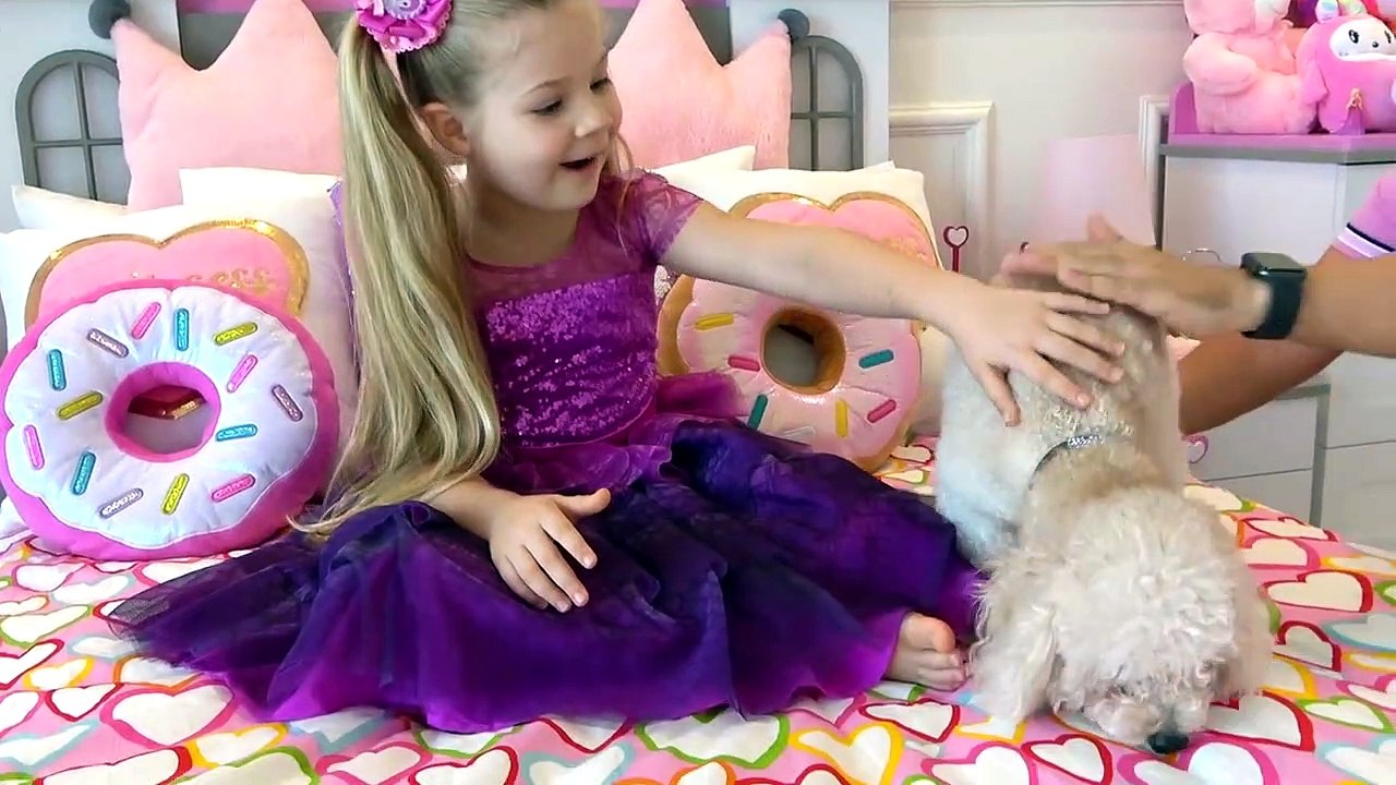Diana Lost her Cat