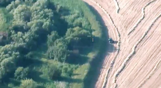 Campomarino (CB) - Piantagione con oltre 3900 piante di marijuana (02.07.20)