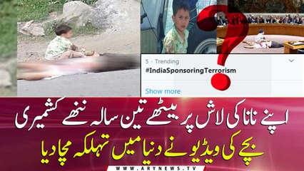 The picture of a small Kashmiri child sitting on the body of his grandfather shook the world